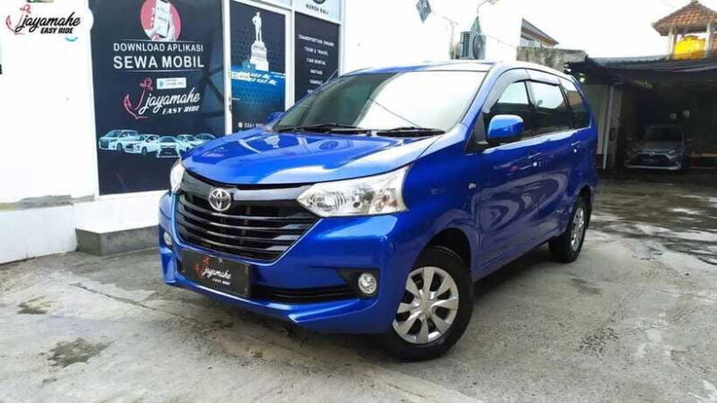 Bali Private Car Charter With Profesional Drivers - Final Thoughts