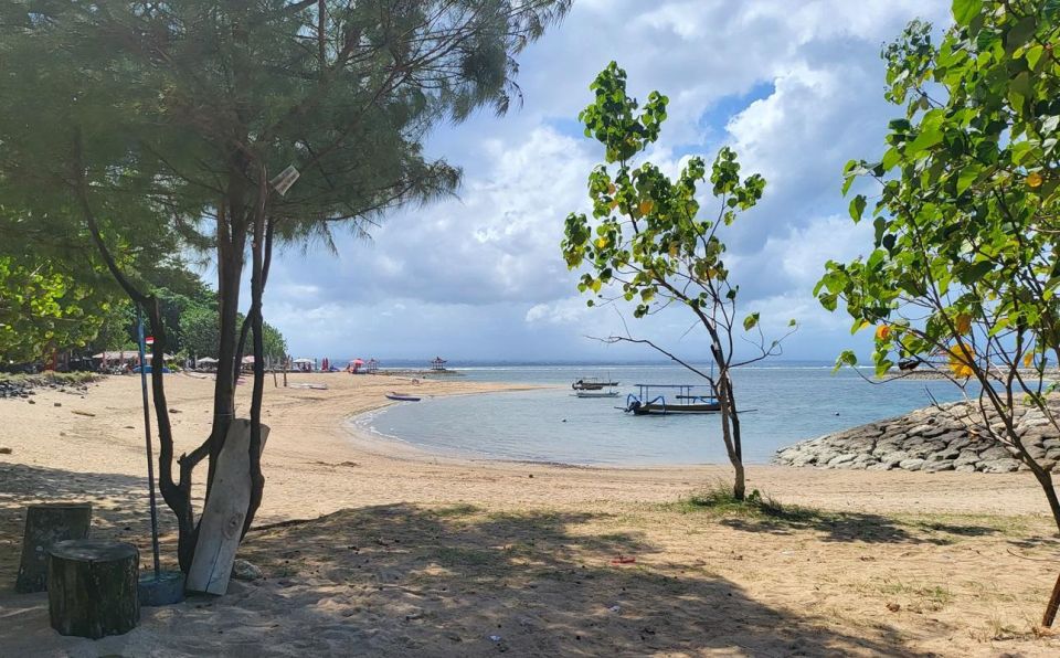 Bali: Private Car Charter With Professional Driver - Highlights of Bali Exploration