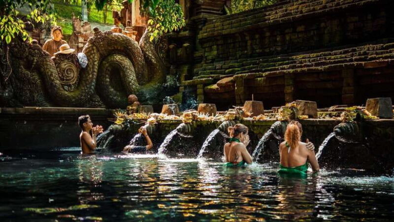 Bali: Private Custom Tours with Chauffeur - Key Points