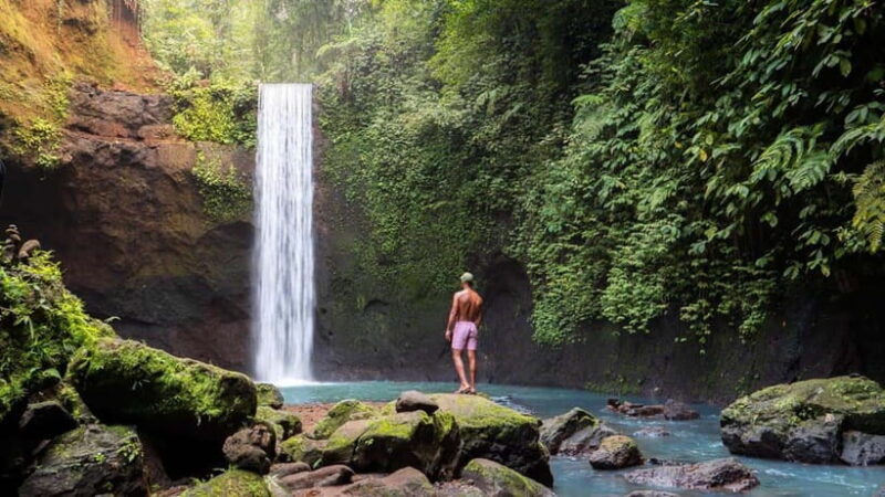 Bali: Private Custom Tours with Chauffeur - Who Will Love This Tour?