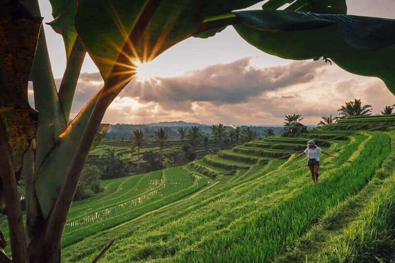 Bali: Private Custom Tours with Chauffeur - FAQ