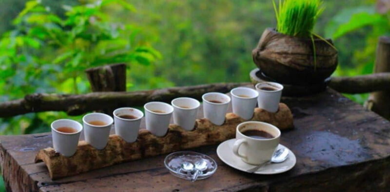 Bali: Private Customizable Day Tour with Guide - What Travelers Say