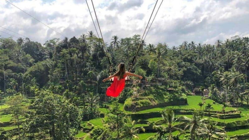 Bali: Private Customizable Day Tour with Guide - The Practical Side: Pricing and Value