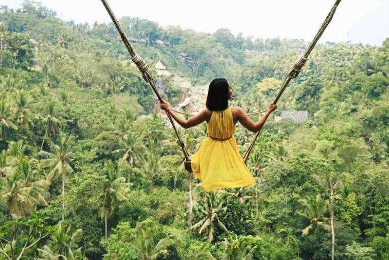 Bali: Private Customizable Day Tour with Guide - The Sum Up