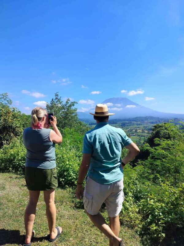Bali: Private Customized Full-Day Tour with Driver - What’s Included and What’s Not