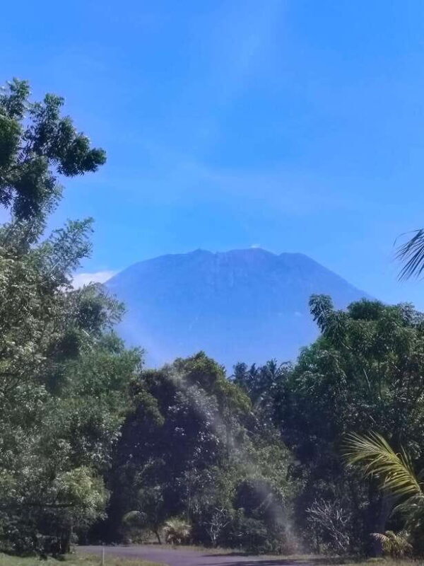 Bali: Private Customized Full-Day Tour with Driver - Itinerary Breakdown: What Can You Expect?
