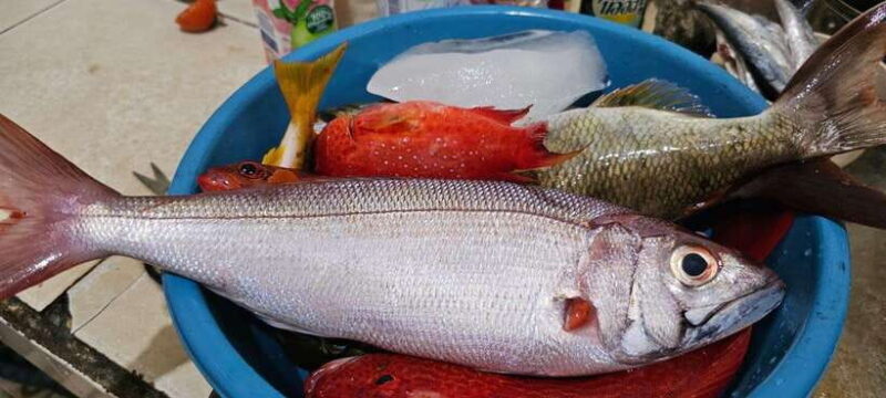 Bali: Private Fishing Trip with Lunch - Who Is This Tour Best For?