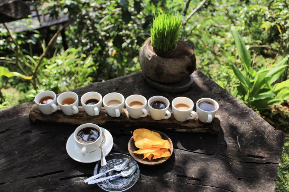 Bali: Private Full or Half-Day Authentic Food Tour - Coffee and Night Market