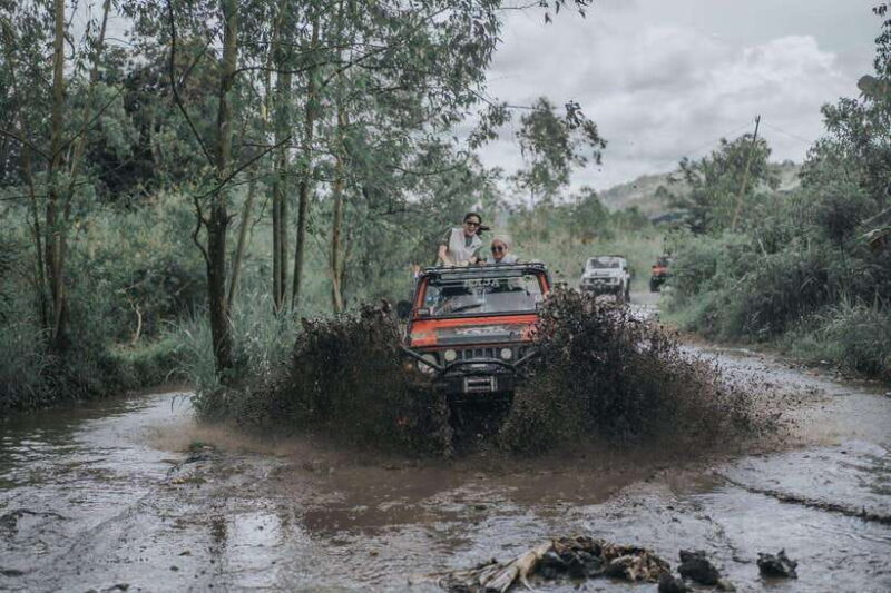 Bali: Private Jeep And Black Lava - An Overview of the Tour Experience