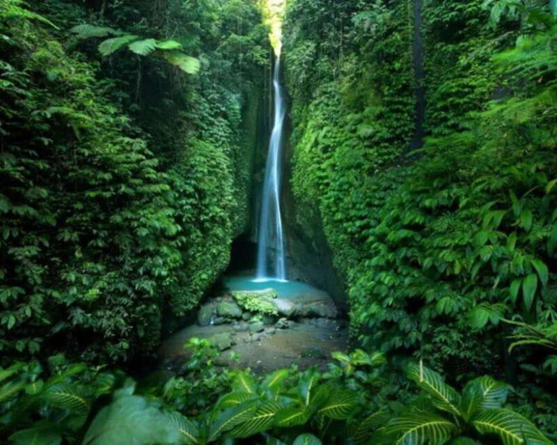 Bali: Private North Sightseeing Jatiluwih, Ulun Danau Temple - An In-Depth Look at the Tour Experience