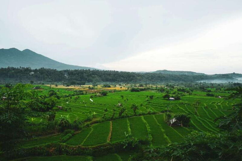 Bali: Private Sightseeing Trip North Bali Tour With Transfer - The Sum Up