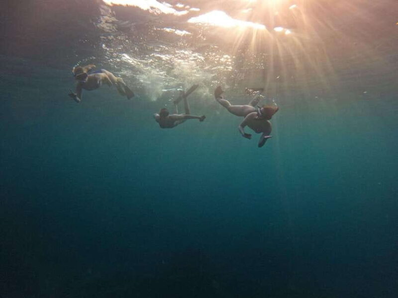 Bali: Private Snorkeling at Manta Point Nusa Penida - Who Should Consider This Tour?