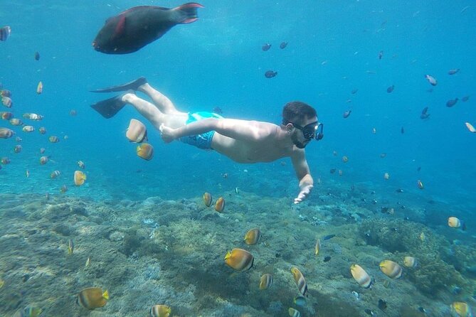 Bali Private Snorkeling (Manta, Sea Cucumber, Crystal) and Nusa Penida Tour - Snorkeling Experiences Offered