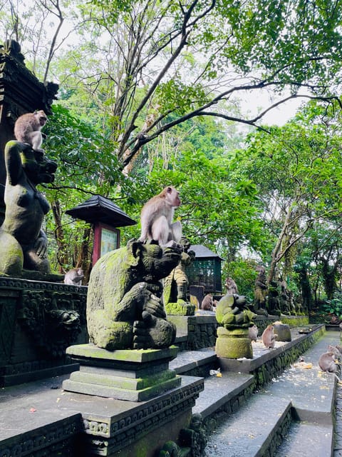 BALI: Private Ubud~Highlight & Instagram Tour - Pickup and Drop-off