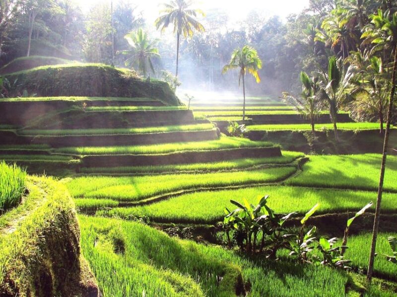 Bali Profesional Photografer - Pricing and Booking