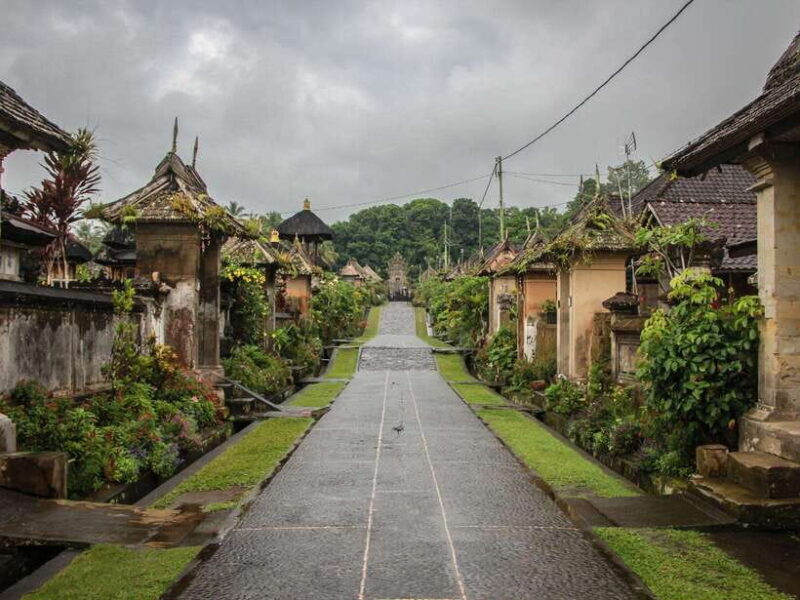 Bali: Professional photoshoot at Pengelipuran bamboo forest. - An In-Depth Look at the Experience