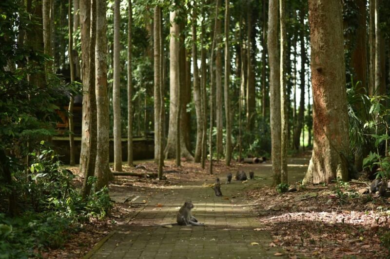 Bali: Purification Ritual at Taman Beji Griya - Notable Reviews