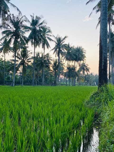 Bali: Quad Bike Adventure with Buffet Lunch - Final Thoughts