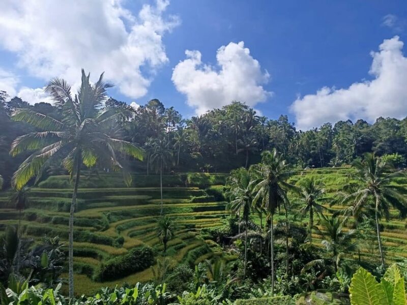 Bali : Rafting + Rice Terrace + 1,5Hrs Massage + Lunch - What to Bring and Not Allowed
