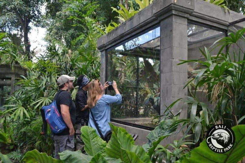 Bali Reptile Park 1-Day Admission Ticket - Key Points  