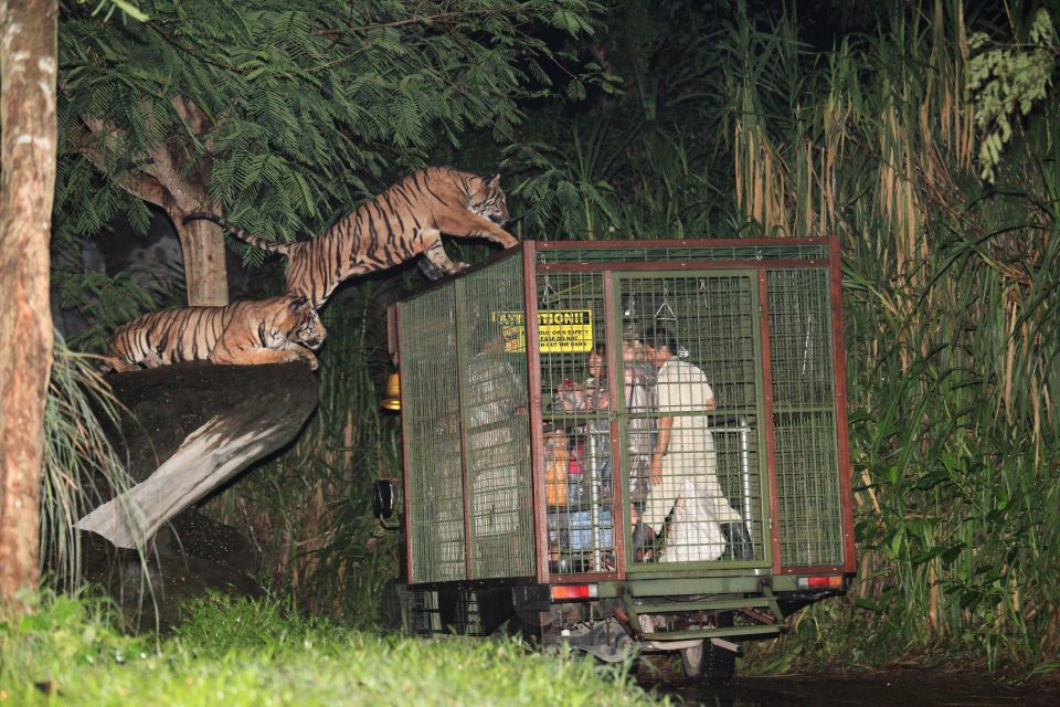 Bali: Return Private Transfer for Night Safari - Not Allowed