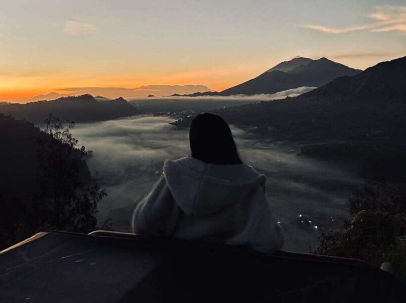 Bali: Rice Terrace & Volcano Tour with Penglipuran Village - An In-Depth Look at the Tour Experience
