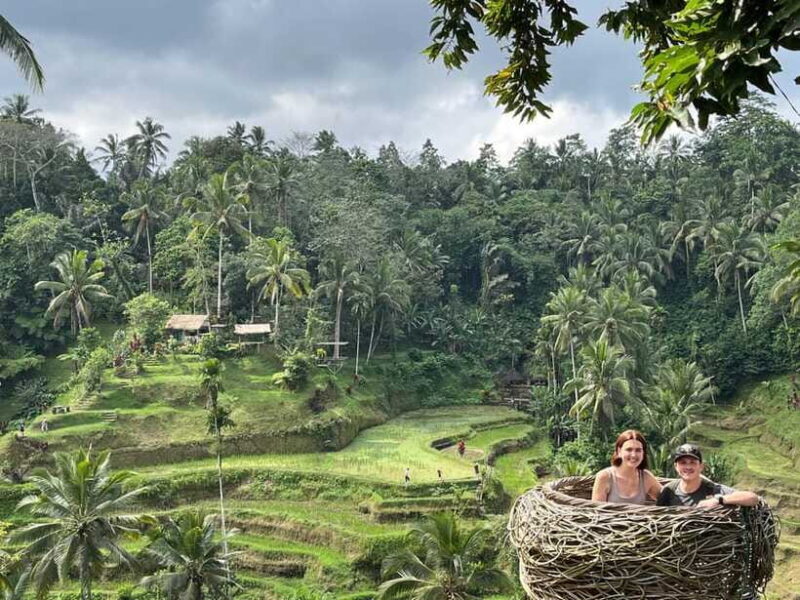 Bali: Rice Terrace, Water Temple, Penelokan, Mother Temple - Who Is This Tour Best For?
