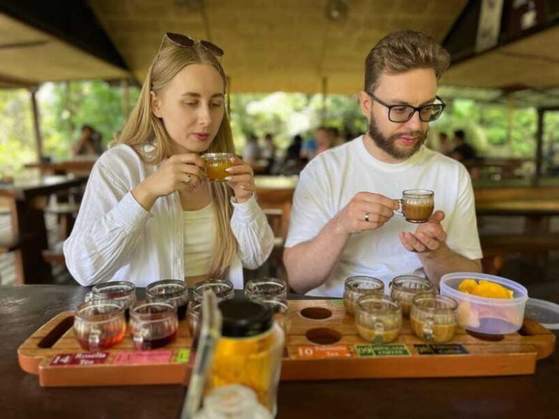 Bali: Rice Terrace, Water Temple, Penelokan, Mother Temple - FAQ