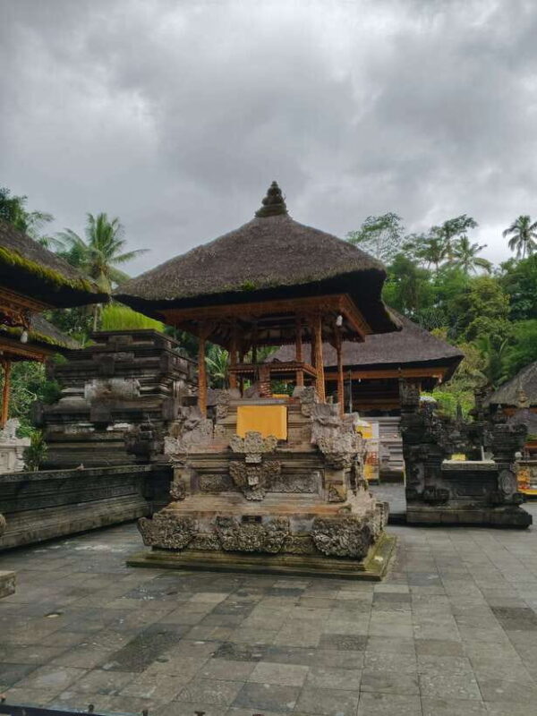 Bali: Rice terrace, Waterfall, and water Temple Day Tour - Who Should Consider This Tour?