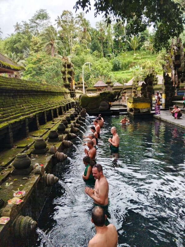 Bali: Rice terrace, Waterfall, and water Temple Day Tour - The Sum Up