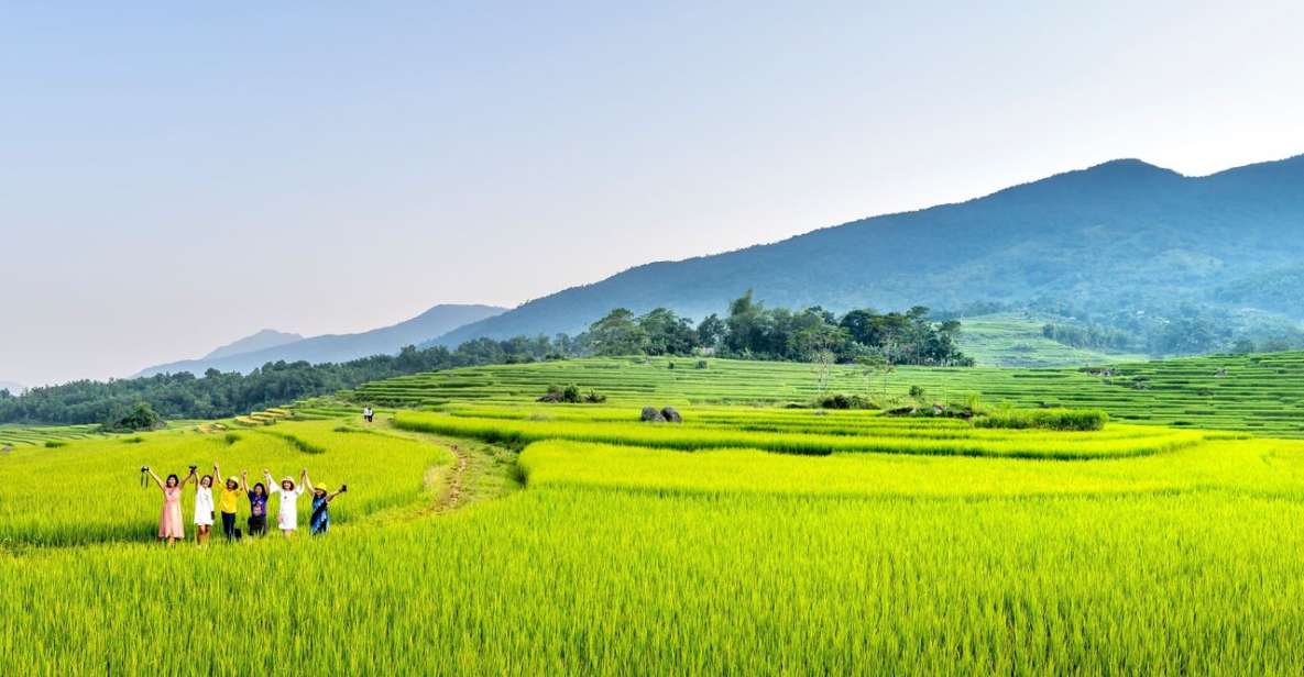 Bali: Rice Terraces Guided Hiking Experience - Key Points