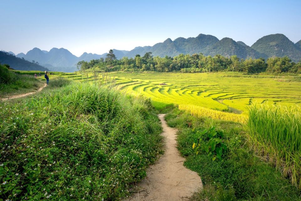 Bali: Rice Terraces Guided Hiking Experience - Guided Experience