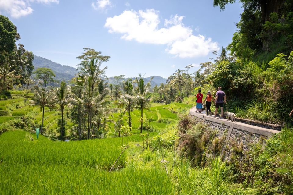 Bali: Rice Terraces Guided Hiking Experience - Local Culture and Ecosystem