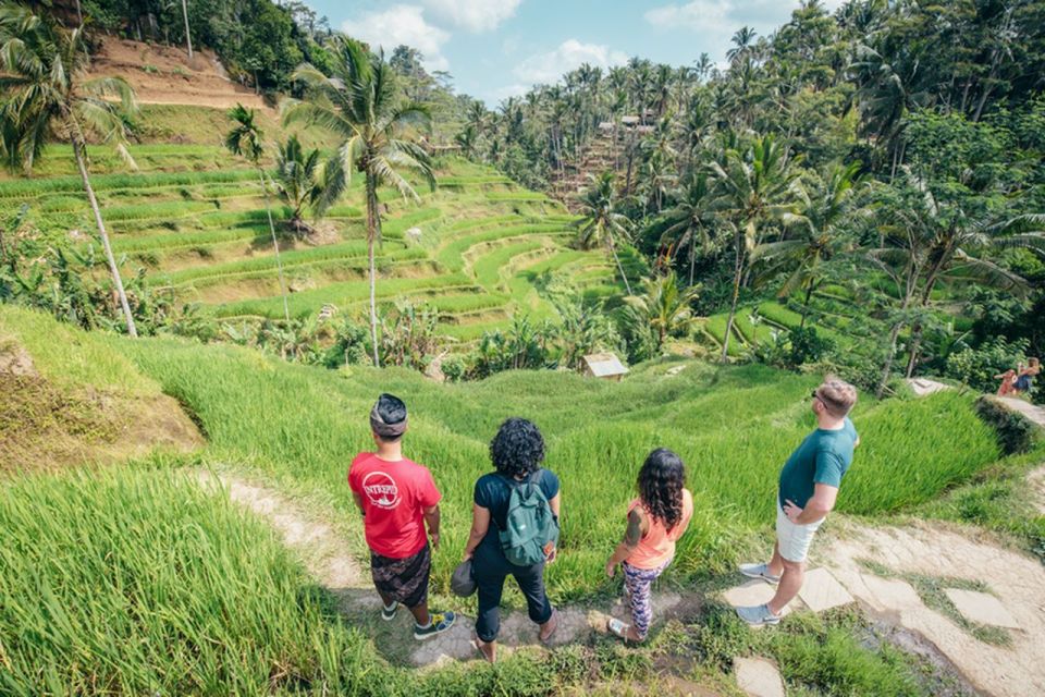 Bali: Rice Terraces Guided Hiking Experience - Exploring the Rice Terraces