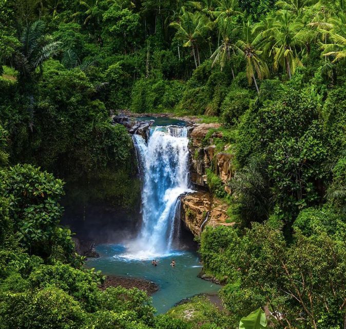 Bali: Rice Terraces, Holy Water Temple & Waterfall Tour - Booking and Cancellation Policy