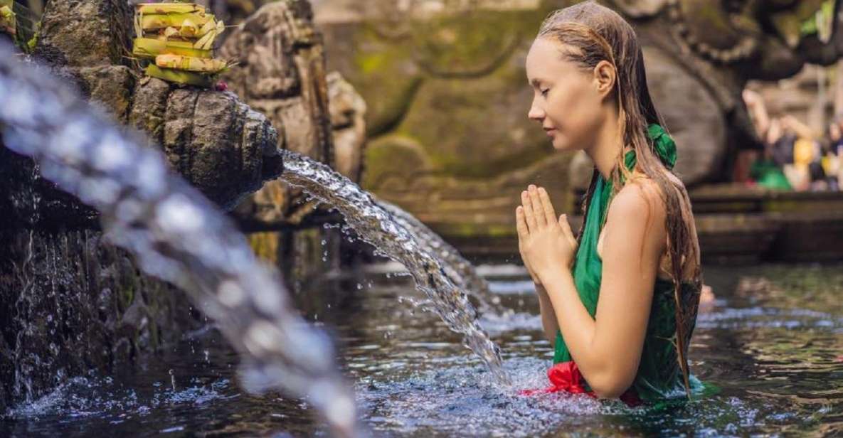 Bali: Rice Terraces, Holy Water Temple & Waterfall Tour - Inclusions and Exclusions