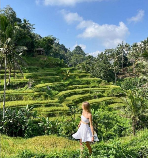 Bali: Rice Terraces, Holy Water Temple & Waterfall Tour - Experiencing the Tegenungan Waterfall