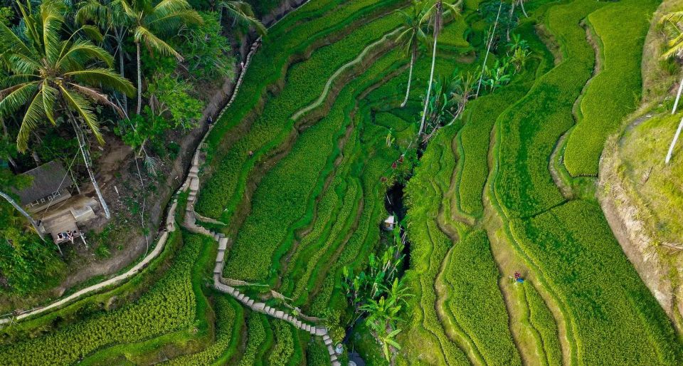 Bali: Rice Terraces, Holy Water Temple & Waterfall Tour - Frequently Asked Questions