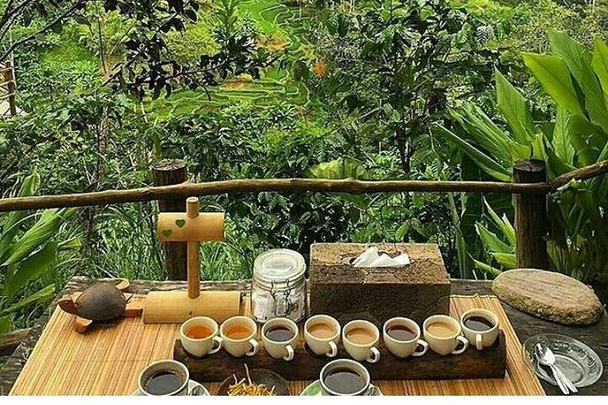Bali Romantic Floating Breakfast - Jungle Swing - Monkey Forest - Ubud Art Shop. - Customer Reviews and Ratings