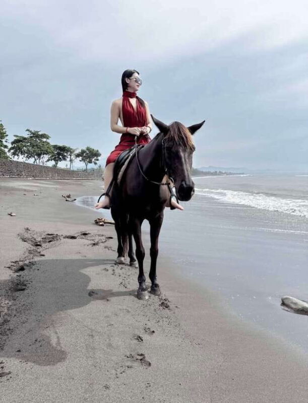 Bali: Saba Beach Horse Riding Experience - Value and Pricing