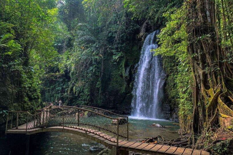 BALI :Sanctuary Monkey forest, rice terrace Water temple - Key Points