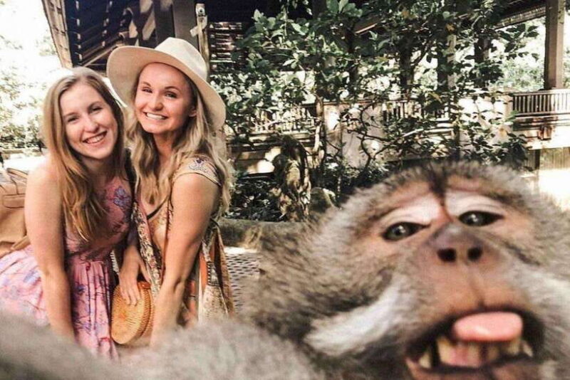 BALI :Sanctuary Monkey forest, rice terrace Water temple - Introduction: What to Expect from This Bali Day Tour