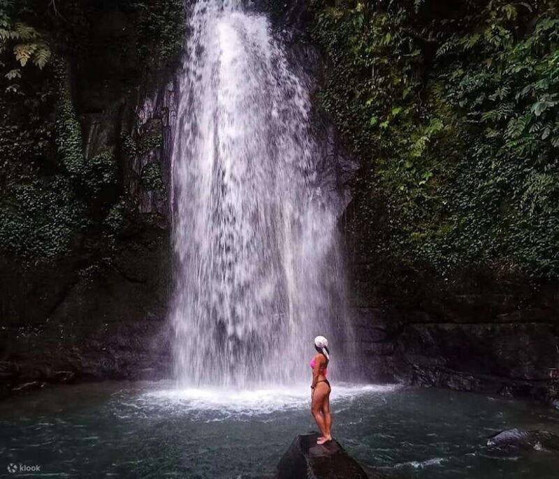 BALI :Sanctuary Monkey forest, rice terrace Water temple - What’s Not Included and Extra Costs