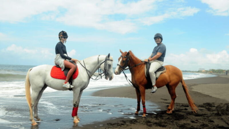 Bali: Sanur Horse Riding for Beginner Experience - What to Expect from Your Horseback Ride in Sanur