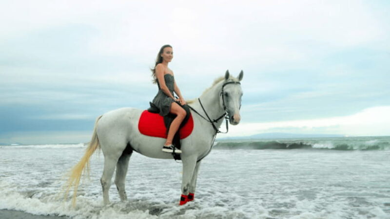 Bali: Sanur Horse Riding for Beginner Experience - Authentic Photos and Memories