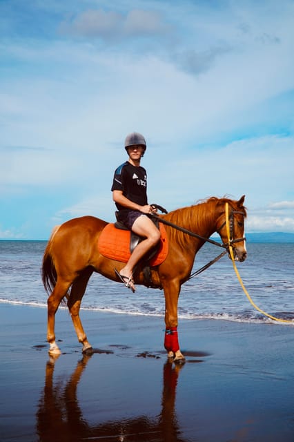Bali: Sanur Horse Riding on the Beach Guide Tour - Important Information