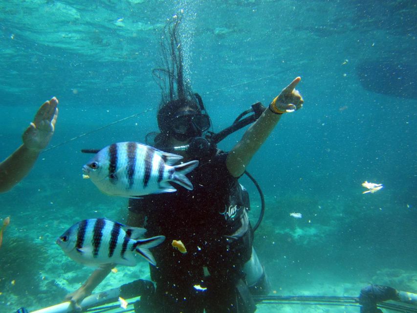 Bali: Scuba Diving For Beginner Experience - Pickup and Transportation