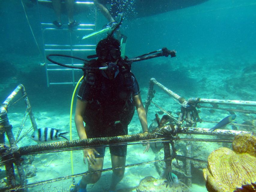 Bali: Scuba Diving For Beginner Experience - Gear and Facilities