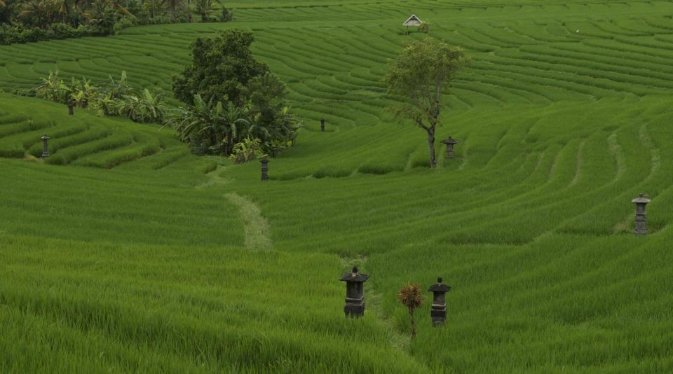 Bali: Secret and Untouristic Tour North West Bali. - Key Points