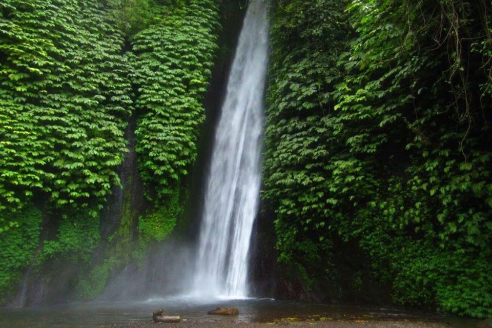 Bali: Secret and Untouristic Tour North West Bali. - Included in the Tour